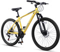 Bicicleta de montaña, acero, AVASTA