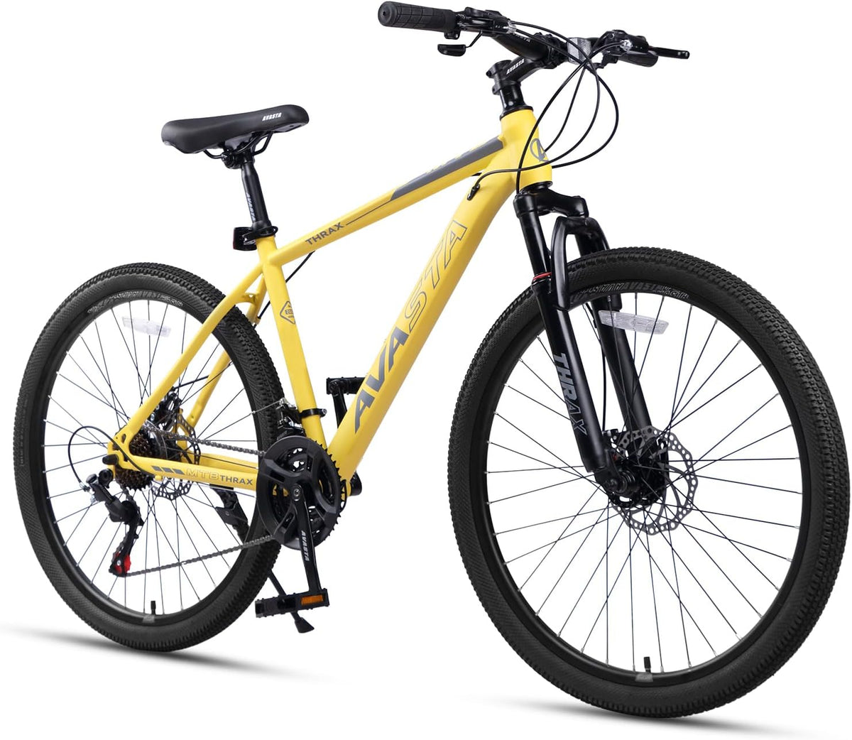 Bicicleta de montaña, acero, AVASTA